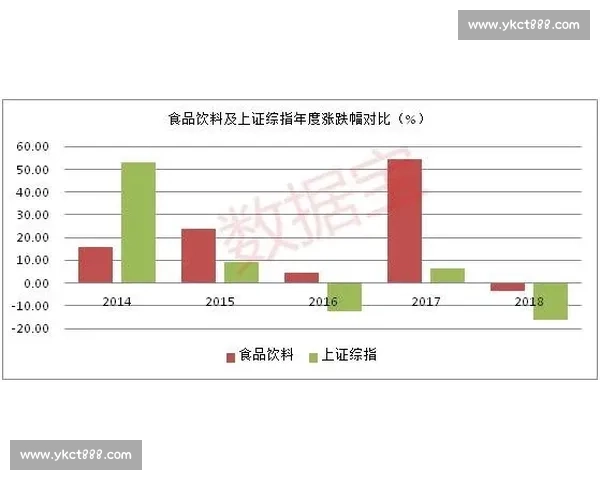 社会变革与塞尔塔发展之路的多维探讨与未来趋势分析